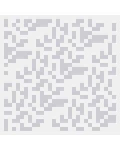 Simple Product 10771